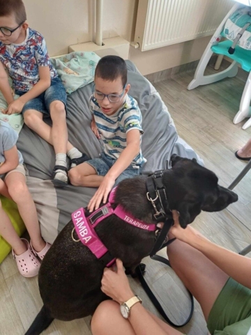 dogoterapia 2024