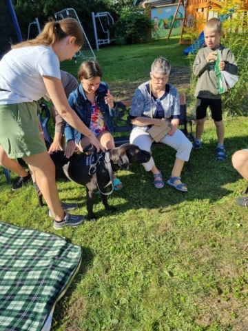 dogoterapia 2024
