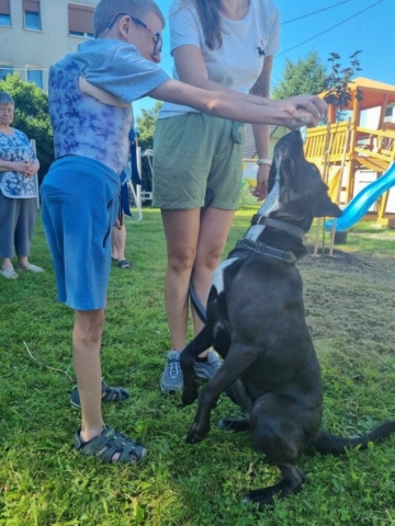 dogoterapia 2024