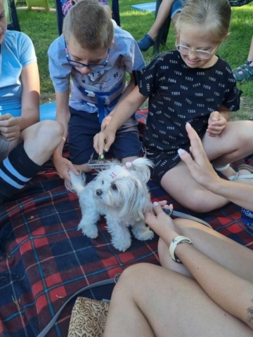 dogoterapia 2024