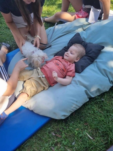 dogoterapia 2024